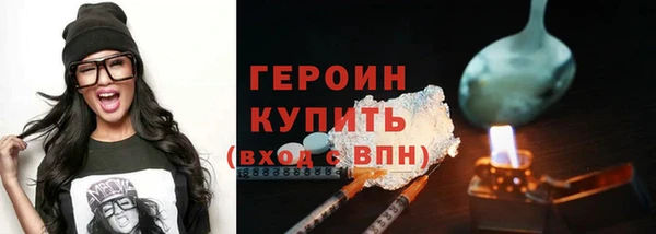 дживик Няндома